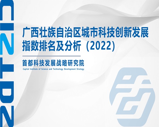 www.大骚逼.com【成果发布】广西壮族自治区城市科技创新发展指数排名及分析（2022）